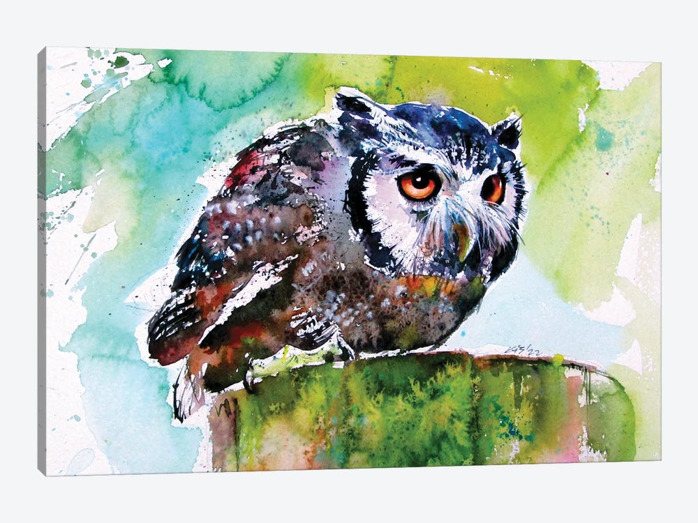 Resting Owl by Anna Brigitta Kovacs 1-piece Canvas Print