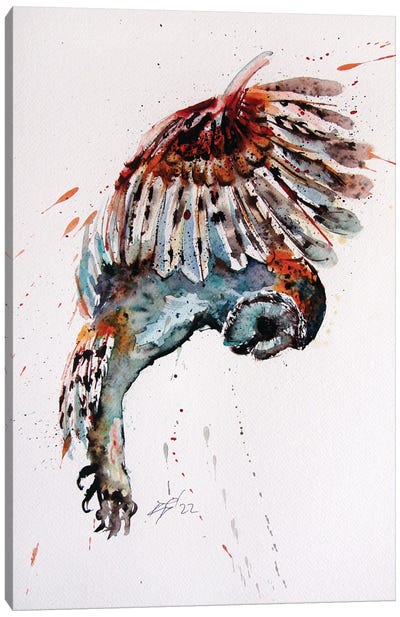 Flying Owl Canvas Art Print - Anna Brigitta Kovacs