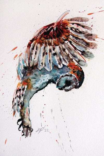 Lakehouse Décor: Flying Owl by Anna Brigitta Kovacs