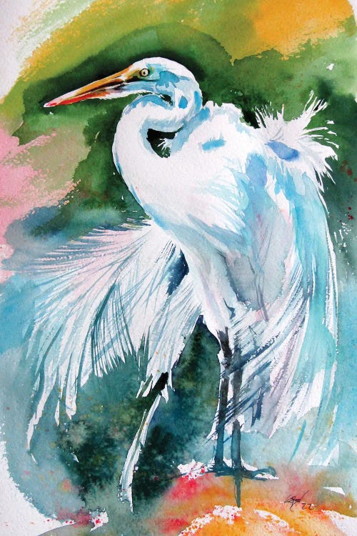 White Heron