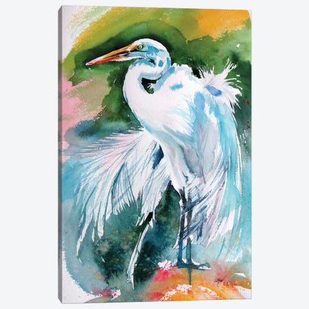 White Heron Canvas Print #AKV518} by Anna Brigitta Kovacs Canvas Art