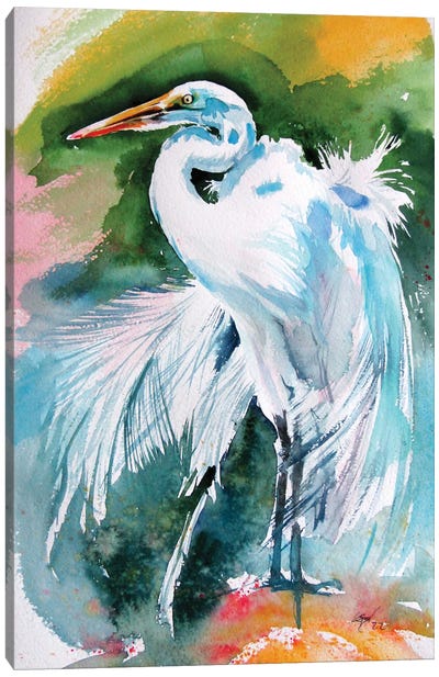 White Heron Canvas Art Print - Anna Brigitta Kovacs