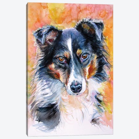 Cute Dog II Canvas Print #AKV519} by Anna Brigitta Kovacs Canvas Art