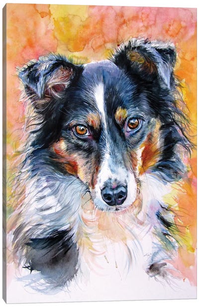 Cute Dog II Canvas Art Print - Australian Shepherd Art