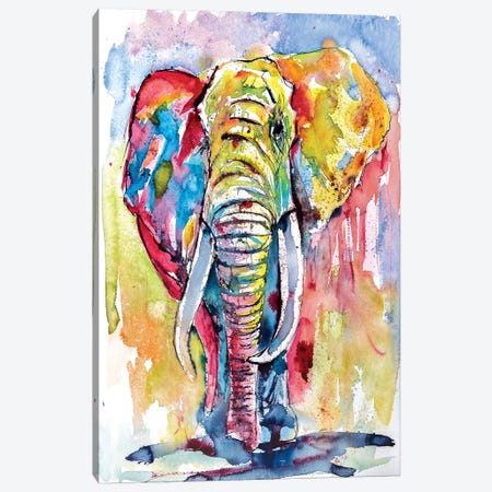Majestic African Elephant Canvas Print #AKV51} by Anna Brigitta Kovacs Canvas Print