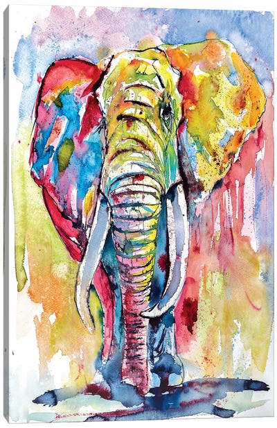Majestic African Elephant Canvas Art Print - Anna Brigitta Kovacs