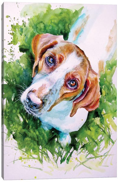 Cute Dog III Canvas Art Print - Anna Brigitta Kovacs