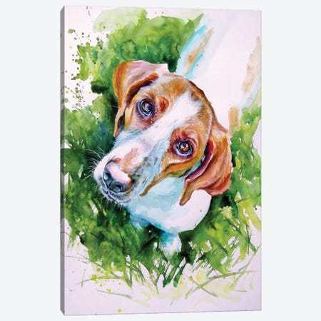 Cute Dog III Canvas Print #AKV520} by Anna Brigitta Kovacs Canvas Art Print