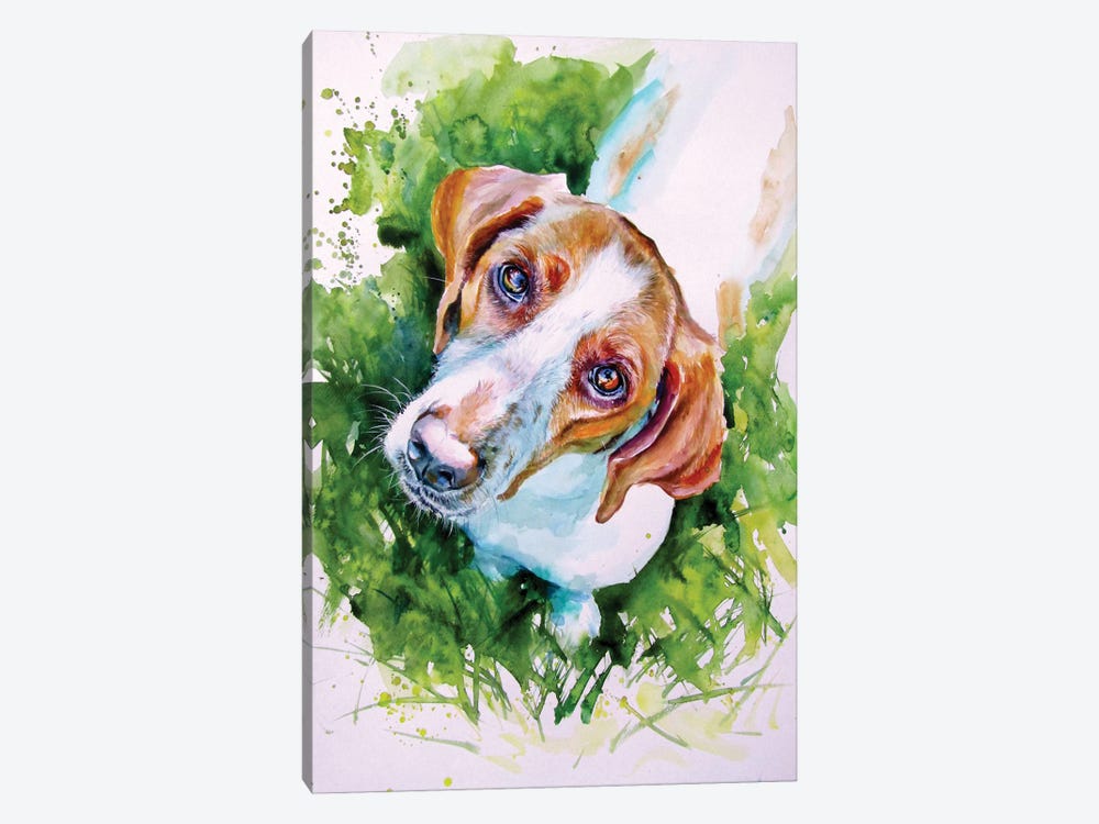Cute Dog III by Anna Brigitta Kovacs 1-piece Canvas Artwork