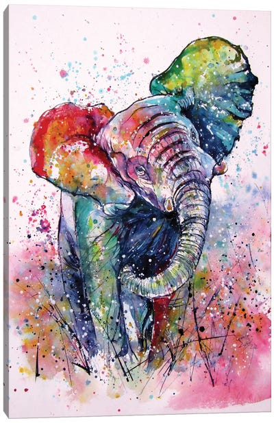 Playful Elephant Canvas Art Print - Anna Brigitta Kovacs