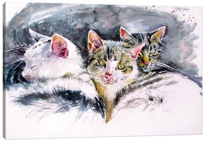 Our Cats Canvas Art Print - Anna Brigitta Kovacs