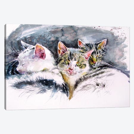 Our Cats Canvas Print #AKV523} by Anna Brigitta Kovacs Art Print