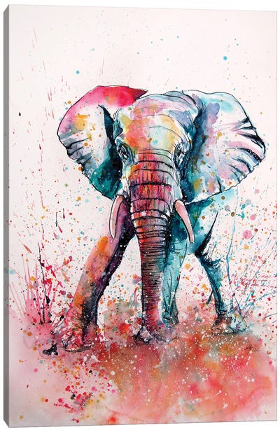 Playful Elephant II Canvas Art Print - Anna Brigitta Kovacs