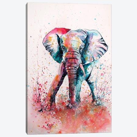Playful Elephant II Canvas Print #AKV524} by Anna Brigitta Kovacs Canvas Wall Art