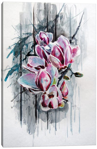 Magnolia II Canvas Art Print - Anna Brigitta Kovacs