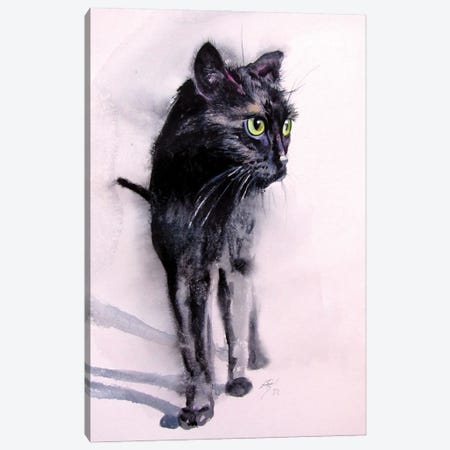 Black Cat Canvas Print #AKV526} by Anna Brigitta Kovacs Canvas Art
