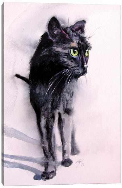 Black Cat Canvas Art Print - Anna Brigitta Kovacs