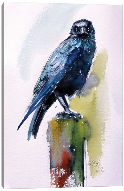 Crow Canvas Art Print - Anna Brigitta Kovacs