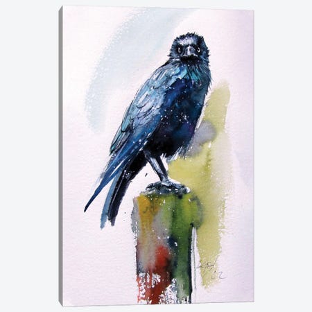 Crow Canvas Print #AKV528} by Anna Brigitta Kovacs Canvas Art Print