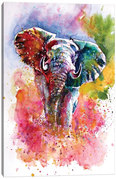 Playful Elephant III Canvas Art Print - Anna Brigitta Kovacs