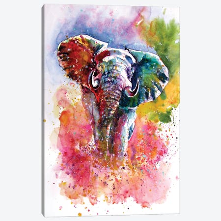 Playful Elephant III Canvas Print #AKV529} by Anna Brigitta Kovacs Canvas Art Print