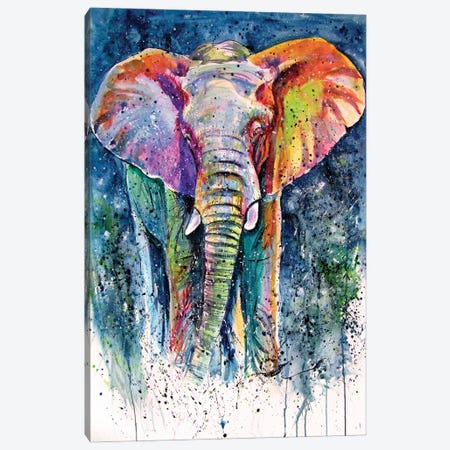 Elephant On The Meadow II Canvas Print #AKV536} by Anna Brigitta Kovacs Canvas Print