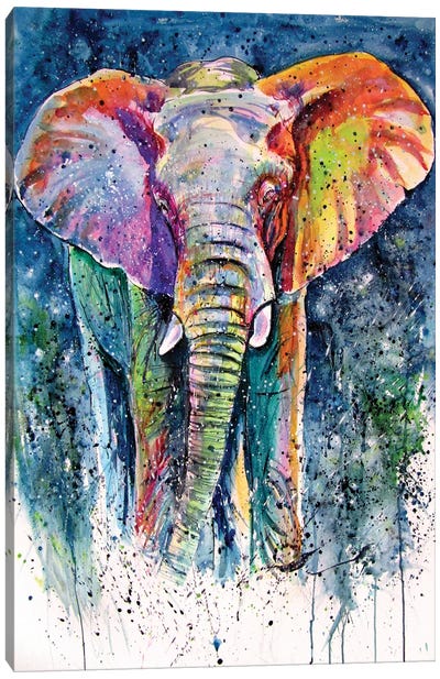 Elephant On The Meadow II Canvas Art Print - Anna Brigitta Kovacs