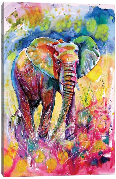 Elephant On The Meadow Canvas Art Print - Anna Brigitta Kovacs