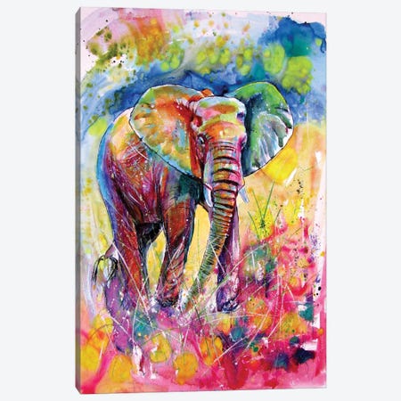 Elephant On The Meadow Canvas Print #AKV537} by Anna Brigitta Kovacs Art Print