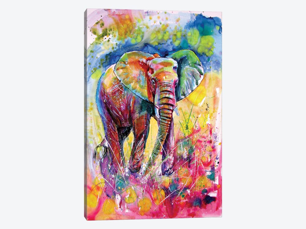 Elephant On The Meadow by Anna Brigitta Kovacs 1-piece Canvas Wall Art