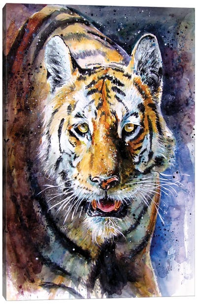 Collarwali II Canvas Art Print - Tiger Art