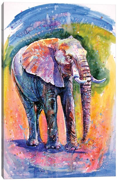 Elephant By The Water Canvas Art Print - Anna Brigitta Kovacs