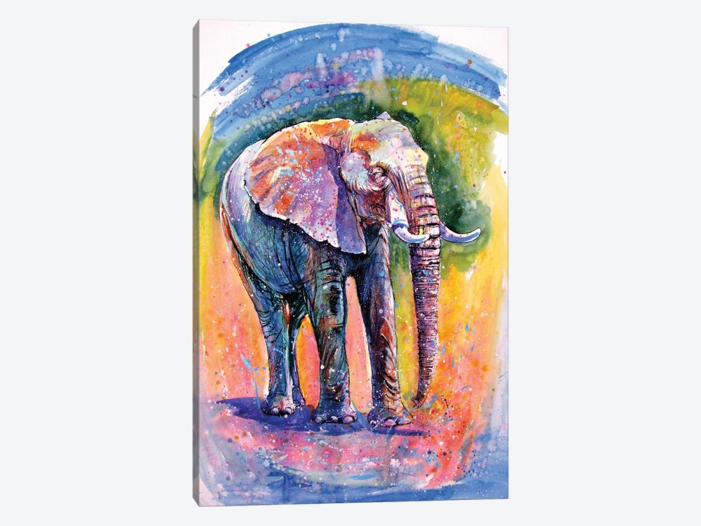 Elephant By The Water by Anna Brigitta Kovacs 1-piece Canvas Print