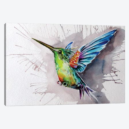 Hummingbird Canvas Print #AKV550} by Anna Brigitta Kovacs Canvas Wall Art