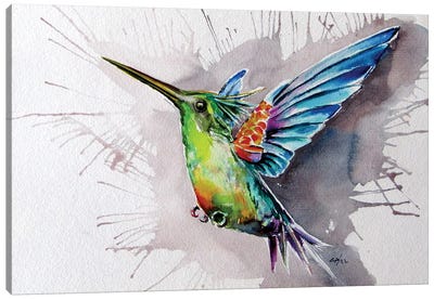 Hummingbird Canvas Art Print - Anna Brigitta Kovacs