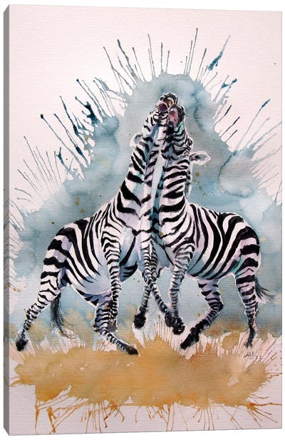 Playing Zebras Canvas Art Print - Anna Brigitta Kovacs