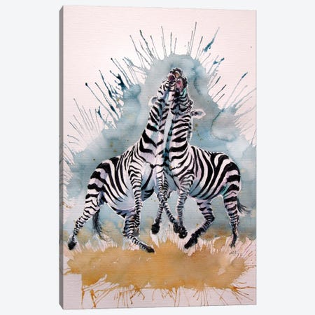 Playing Zebras Canvas Print #AKV551} by Anna Brigitta Kovacs Canvas Art
