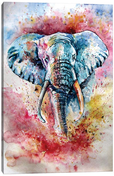 Playful Elephant IV Canvas Art Print - Anna Brigitta Kovacs