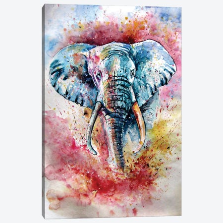 Playful Elephant IV Canvas Print #AKV552} by Anna Brigitta Kovacs Canvas Art