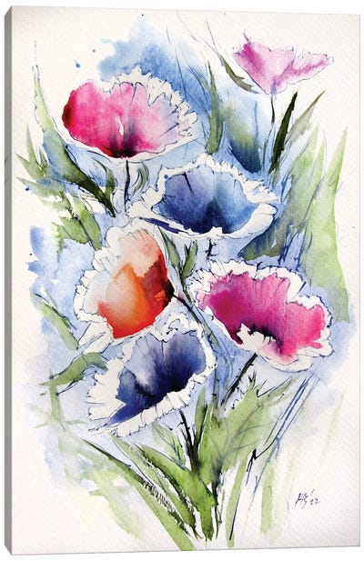 Some Poppy Canvas Art Print - Anna Brigitta Kovacs