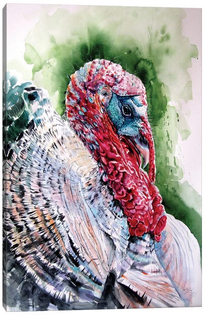 Turkey Canvas Art Print - Thanksgiving Art