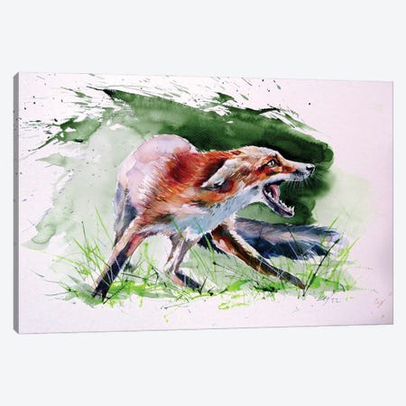 Red Fox Canvas Print #AKV569} by Anna Brigitta Kovacs Canvas Art Print