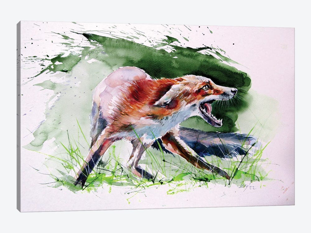 Red Fox by Anna Brigitta Kovacs 1-piece Canvas Art Print
