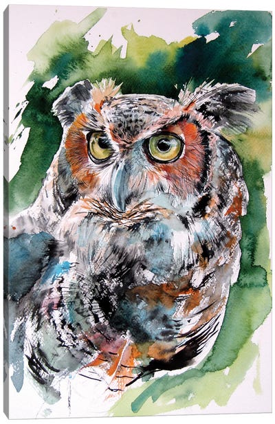 Cute Owl Portrait Canvas Art Print - Anna Brigitta Kovacs