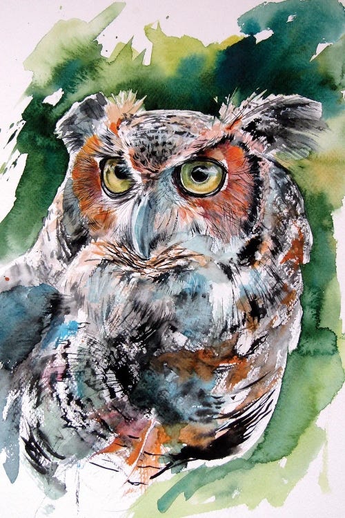 Cute Owl Portrait