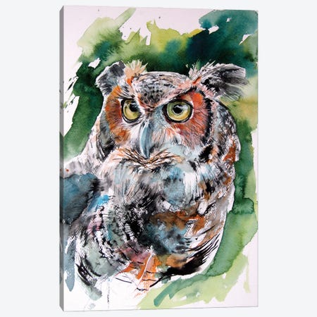 Cute Owl Portrait Canvas Print #AKV570} by Anna Brigitta Kovacs Canvas Artwork