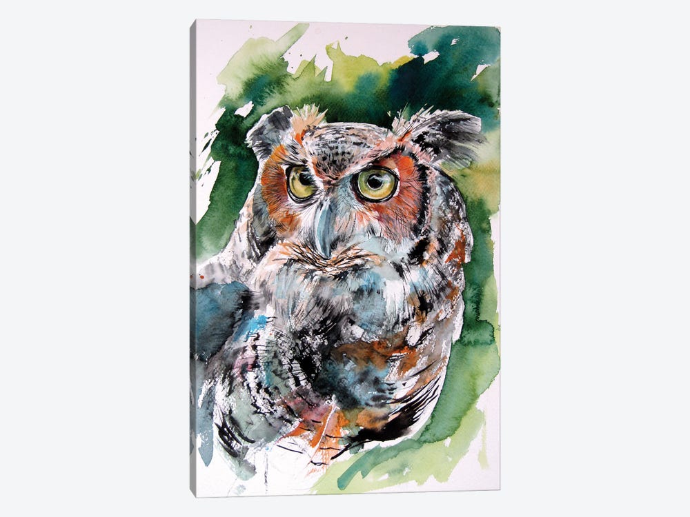 Cute Owl Portrait by Anna Brigitta Kovacs 1-piece Art Print