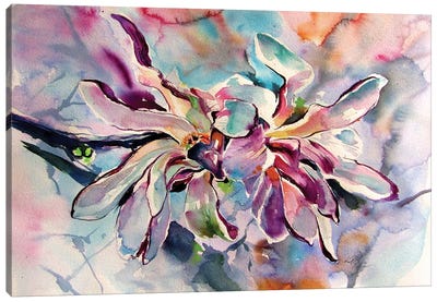 Magnolia Flowering Branch Canvas Art Print - Anna Brigitta Kovacs