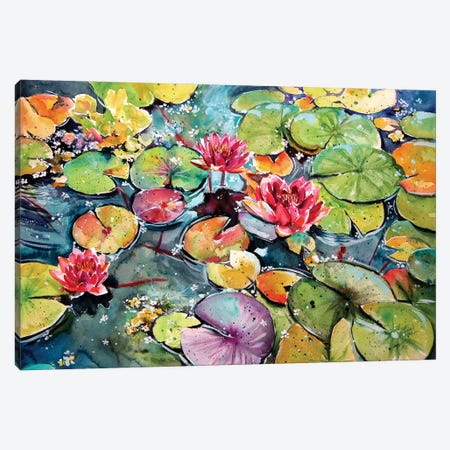 Colorful Water Lilies Canvas Print #AKV575} by Anna Brigitta Kovacs Art Print