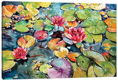 Colorful Water Lilies Canvas Art Print - Anna Brigitta Kovacs